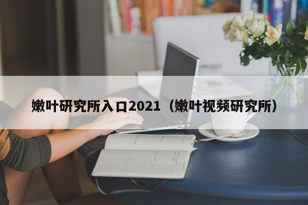 嫩叶研究所入口2021(嫩叶视频研究所)