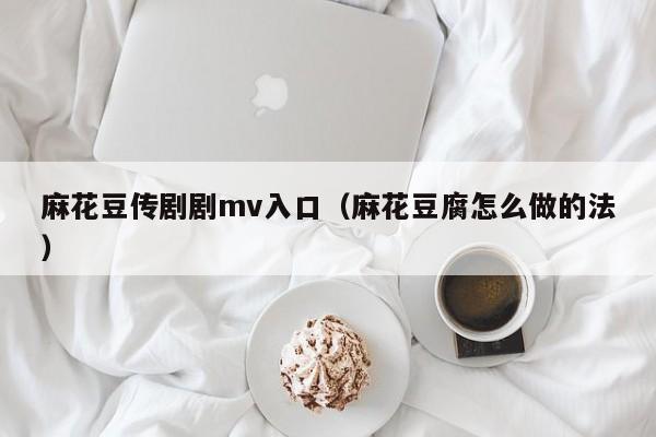 麻花豆传剧剧mv入口(麻花豆腐怎么做的法)