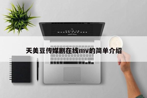 天美豆传媒剧在线mv的简单介绍