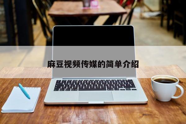 麻豆视频传媒的简单介绍