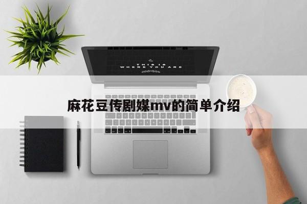 麻花豆传剧媒mv的简单介绍